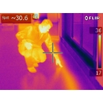 Flir İ3 Termal Kamera